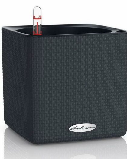 Rattan Desk Plant pot