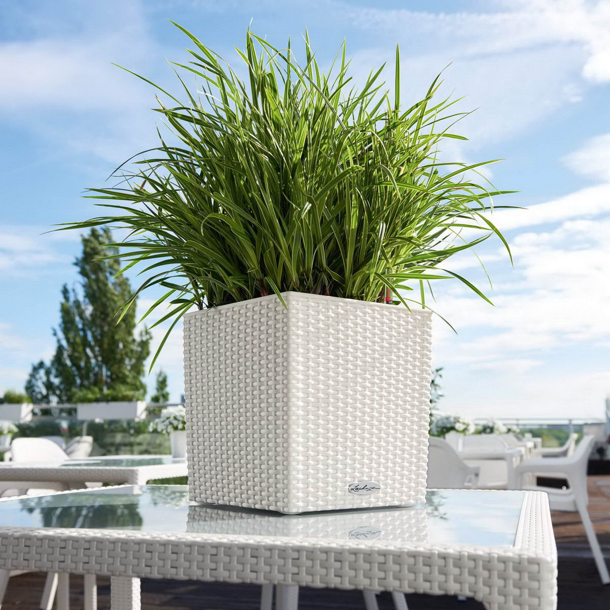 CUBE Cottage 30 granite