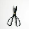 houseplant pruning shears