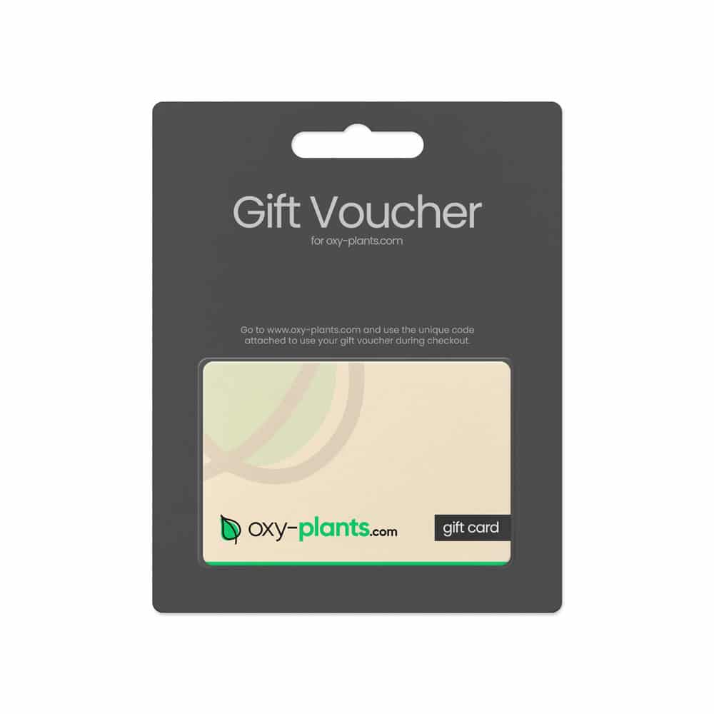 plant gift voucher