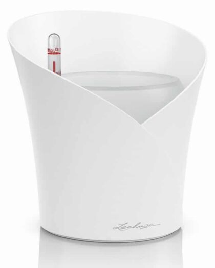 orchid self-watering pot