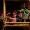 pink watering can
