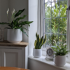 air purifier paint