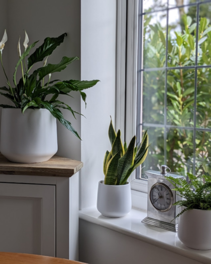 air purifier paint