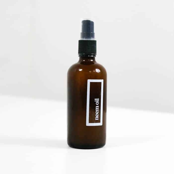 neem oil houseplant pest spray buy online uk neem oil houseplant pest spray buy online uk