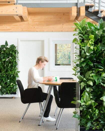 Living Walls Room divider