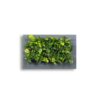 Mobilane_LivePicture_2_Charcoal_Front_LR Living Wall