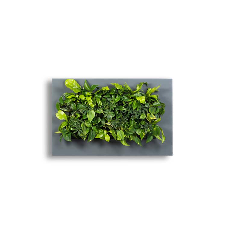 Mobilane_LivePicture_2_Charcoal_Front_LR Living Wall