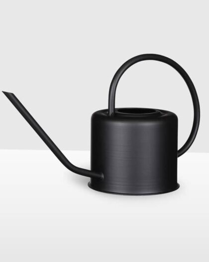 black watering can houseplants indoor