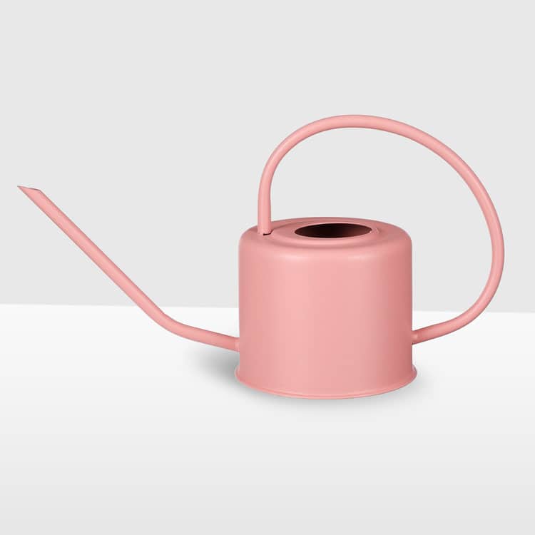 pink watering can houseplants indoor