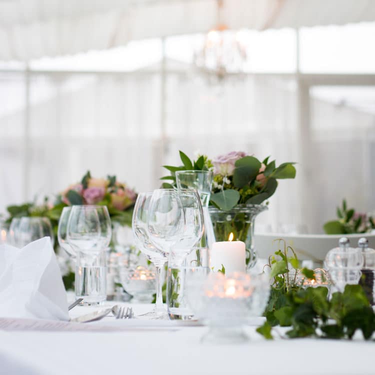rent plants for an event