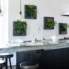 living picture frame green plant wall living picture frame green plant wall home