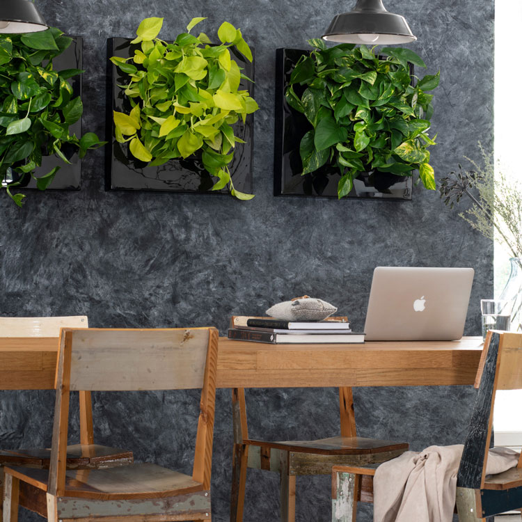 living picture frame green plant wall living picture frame green plant wall
