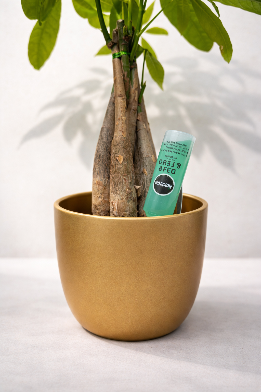 drip and feed stock 2