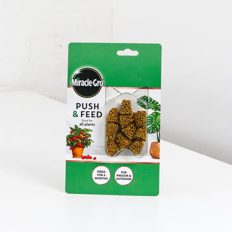 micracle gro all purpose push feed Miracle-Gro Push