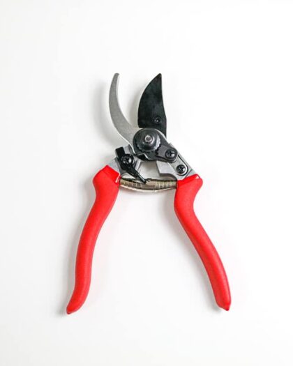 secateurs