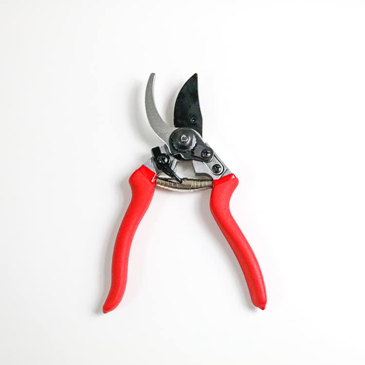 secateurs 1 secateurs