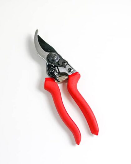 secateurs