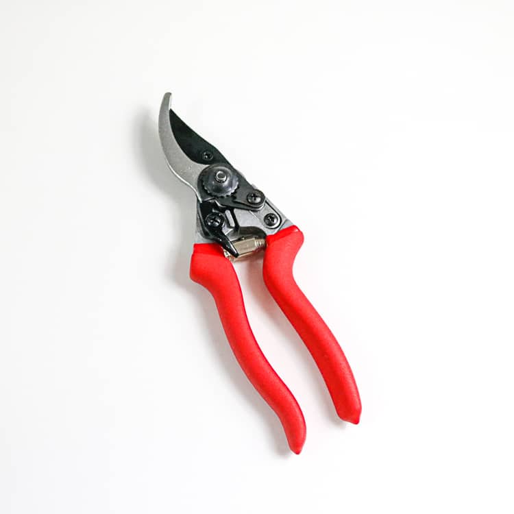 secateurs 2 secateurs
