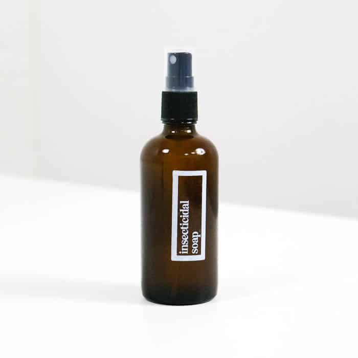 insecticidal soap for houseplants buy online uk insecticidal soap houseplants buy online uk