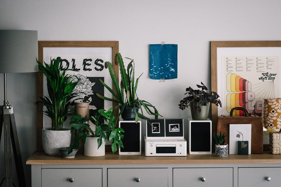 winter house plant care