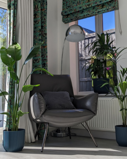Large Plant Bundle