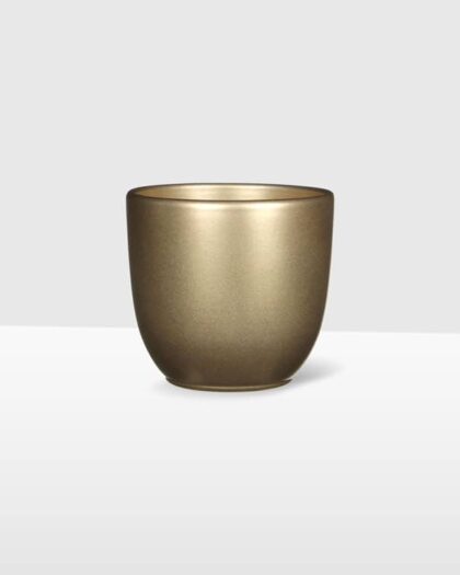 gold matte ceramic plant pot