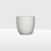 white matte ceramic plant pot