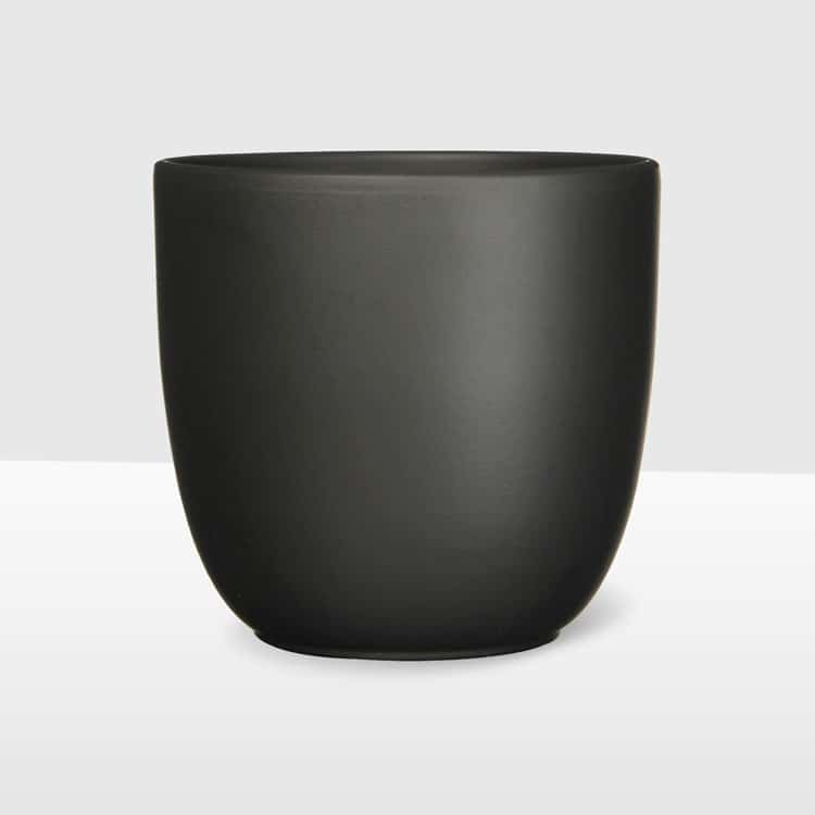 black matte curved ceramic plant pot