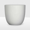white matte ceramic plant pot