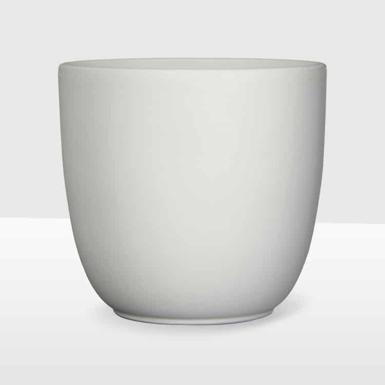 white matte ceramic plant pot