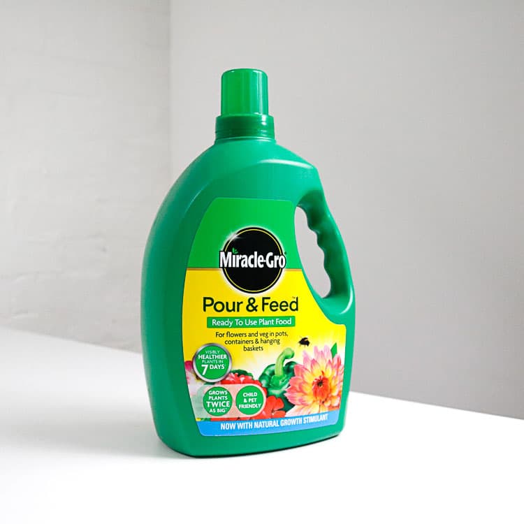 miracle-gro-pour-feed-3L miracle-gro pour feed 3L