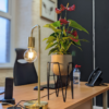 Anthurium Pot and Stand