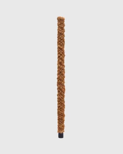 120cm moss pole plants