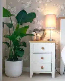 Bird of Paradise & Pot