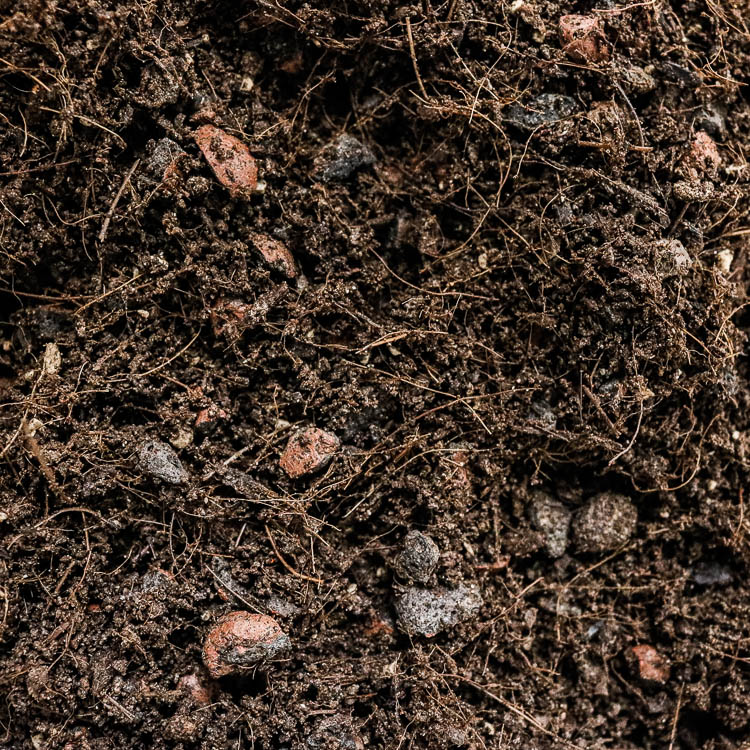 peat free compost buy online uk peat free compost buy online uk