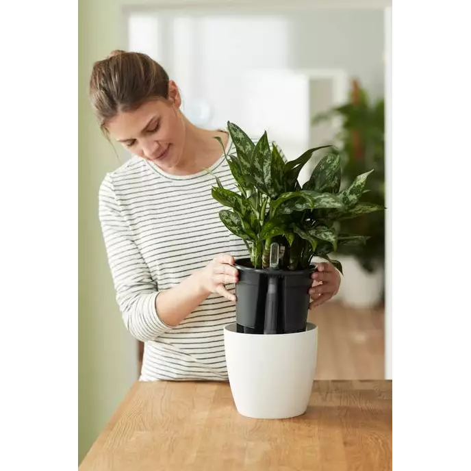 self-watering_insert.i16