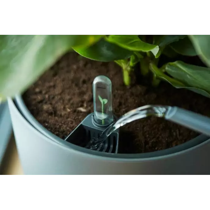 self-watering_insert.i5