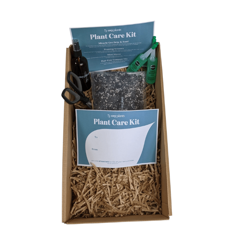 plant care kit 1