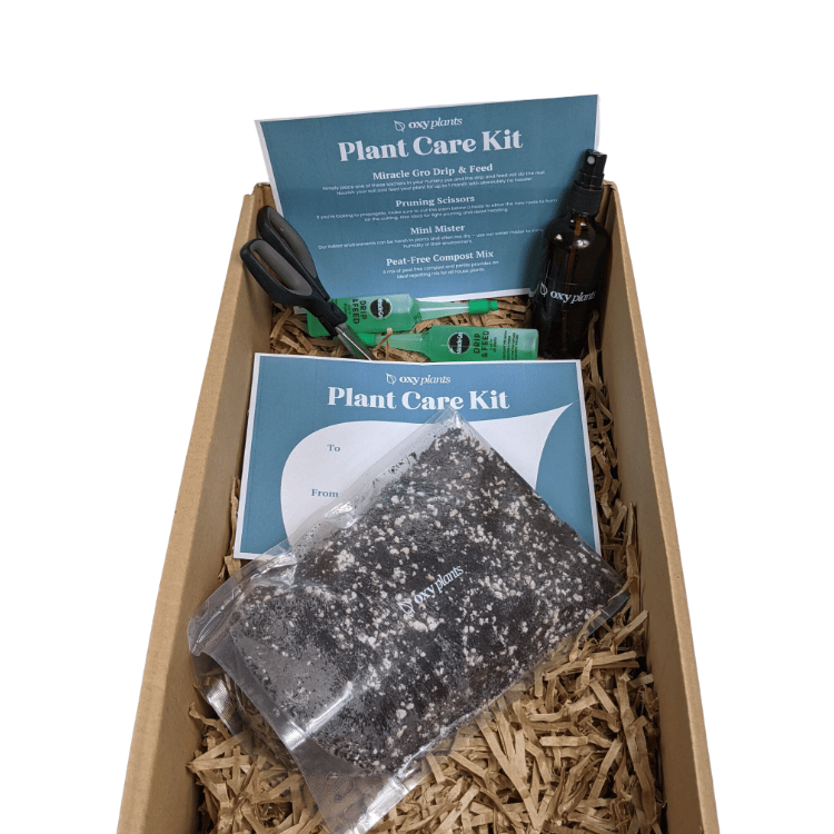 plant care kit