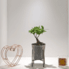 Ginseng Pot & Stand Ginseng Pot & Stand