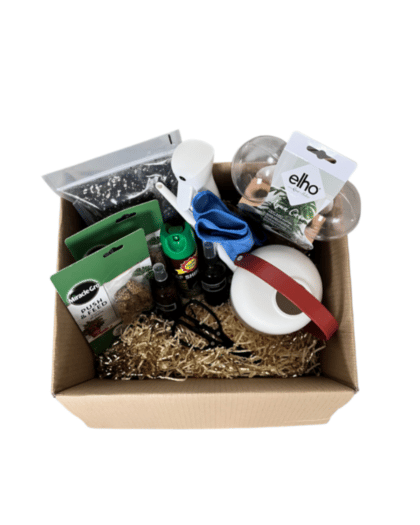 large plant care gift set