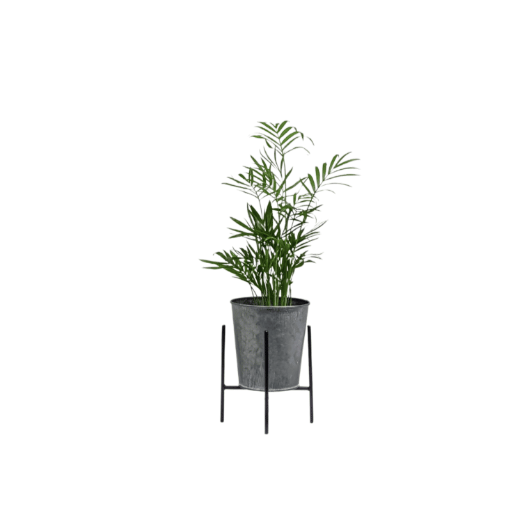Untitled design-16 plant pot1