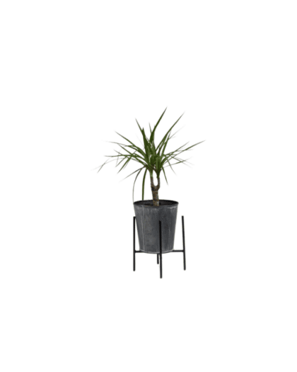 plant pot