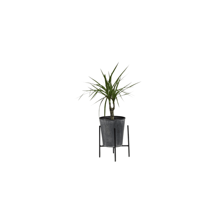 Untitled design-17 plant pot