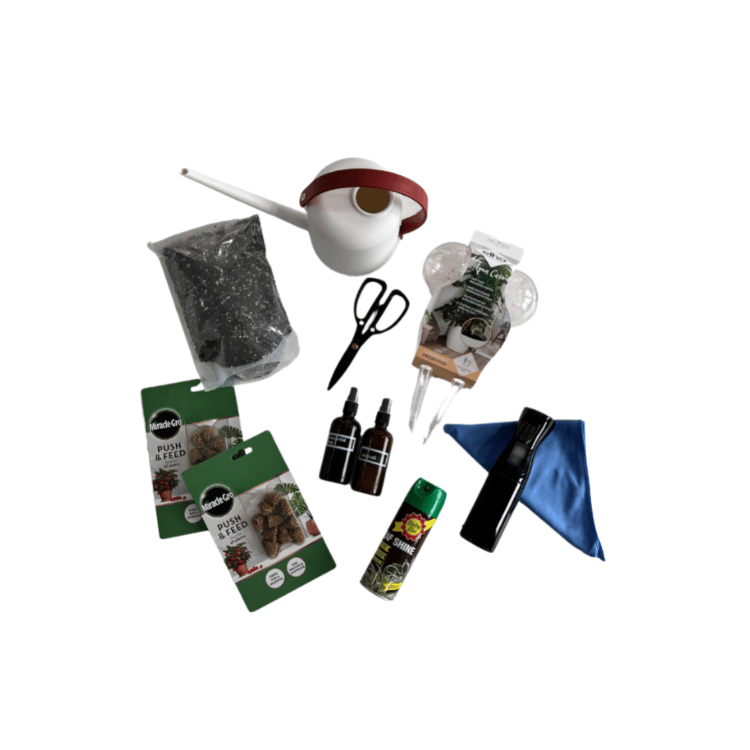plant kit 2