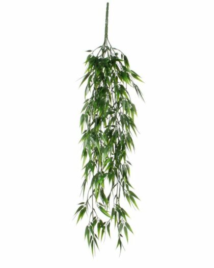 bamboo