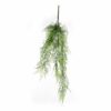 fern hanging plant 3