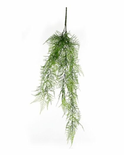 hanging plant 3