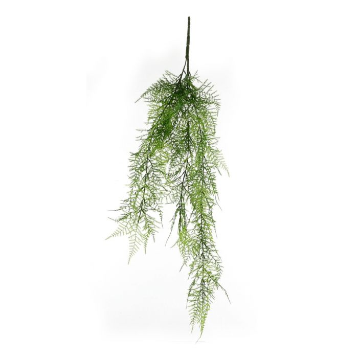 fern hanging plant 3